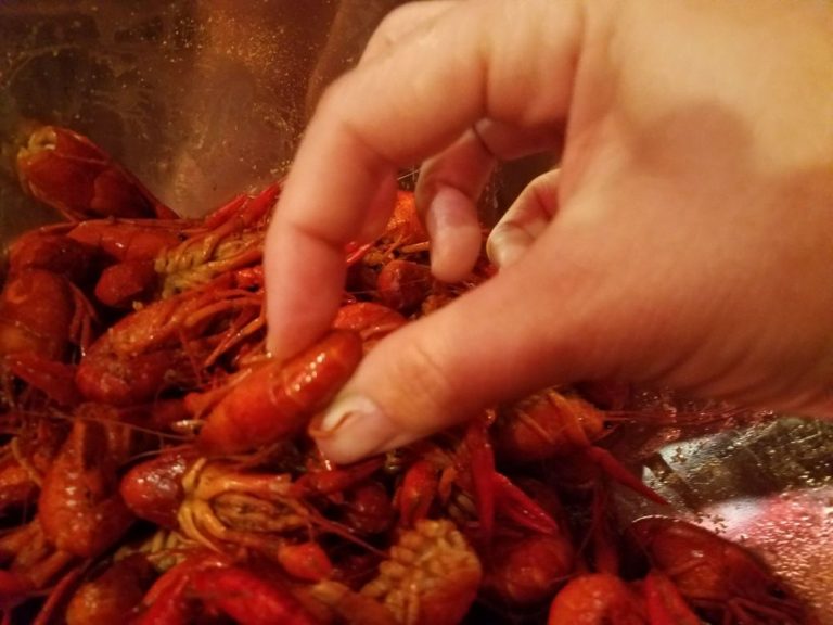 boyds cajun grill express texas city 2 768x576