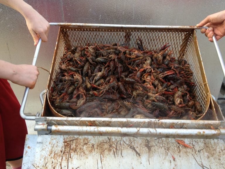 cajun boils austin 2 768x576