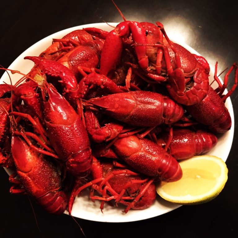 carrollton plaza supermarket carrollton 1 768x768