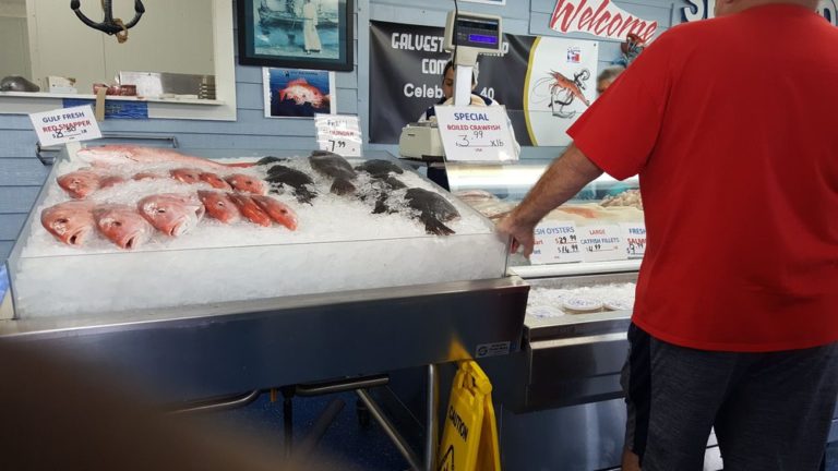 galveston shrimp company galveston 1 768x432