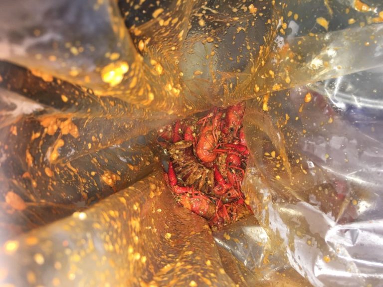 hotspot cajun seafood house cypress 2 768x576