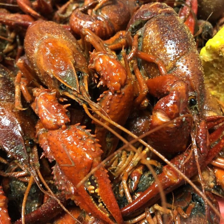 judices cajun cafe bridge city 768x768