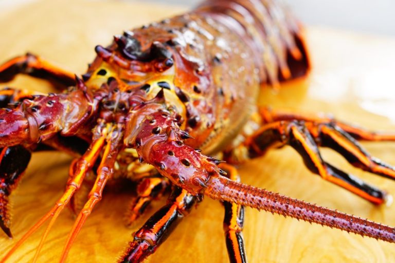 lafittes crawfish houston 2 1 768x511