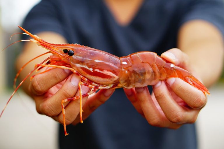 lafittes crawfish houston 2 768x511