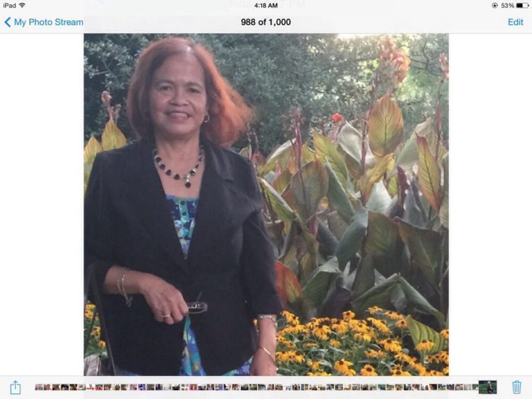 may hao oriental market arlington 2 768x576