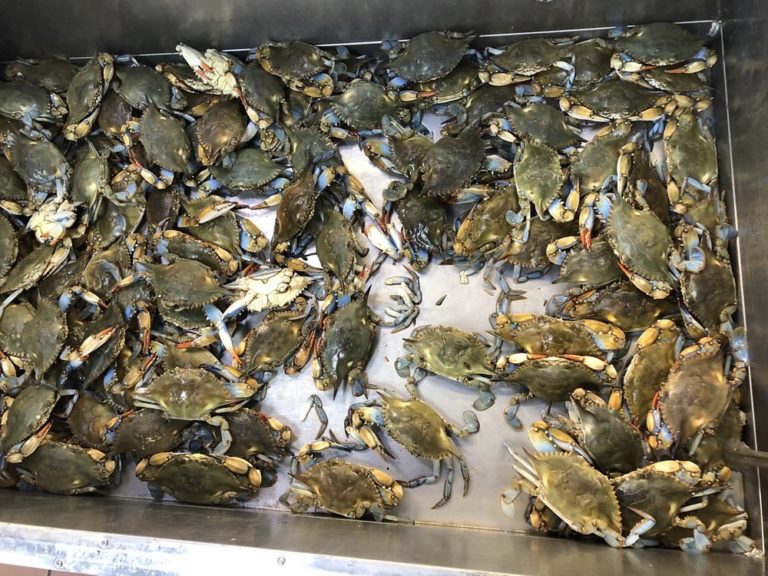 ocean seafood market fort worth 5 768x576