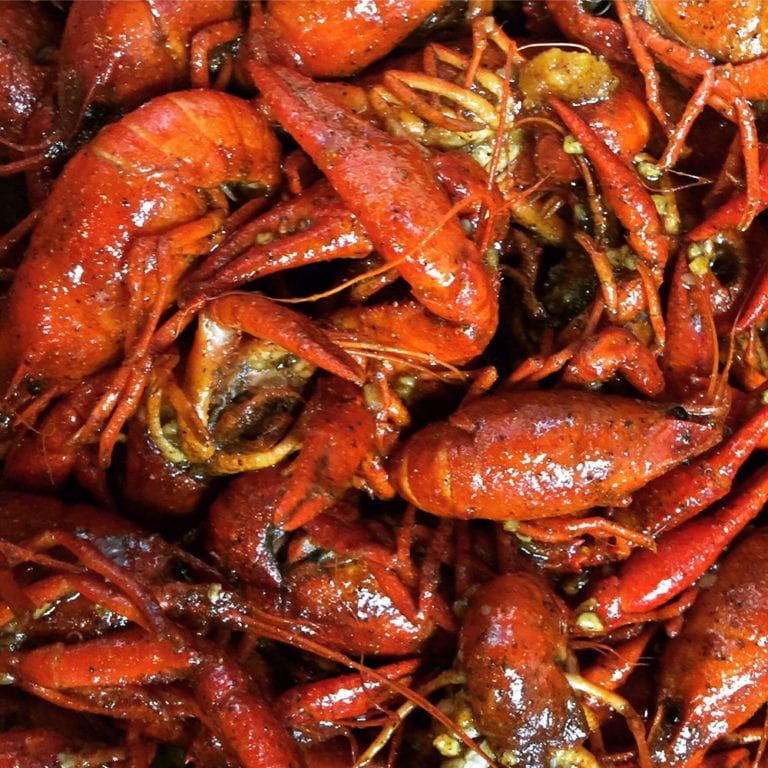 paradise cajun seafood dallas 2 768x768