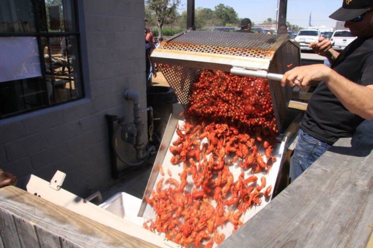 red tailz beaumont 2 2 768x512