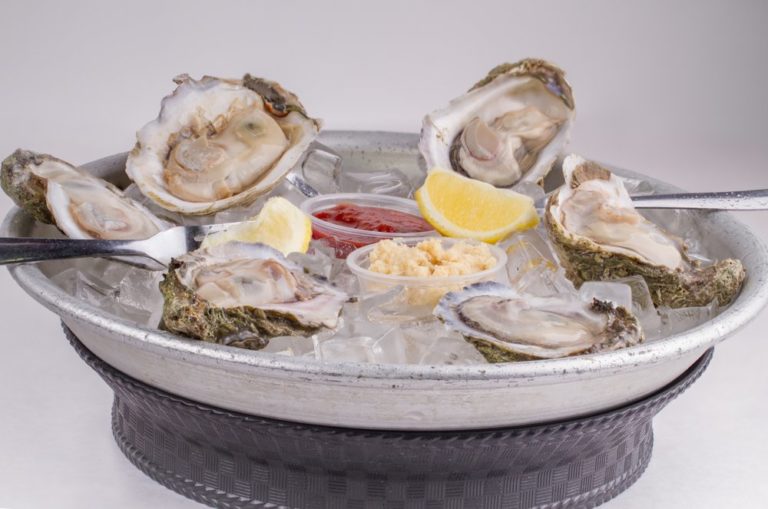 shell shack arlington 5 2 768x509