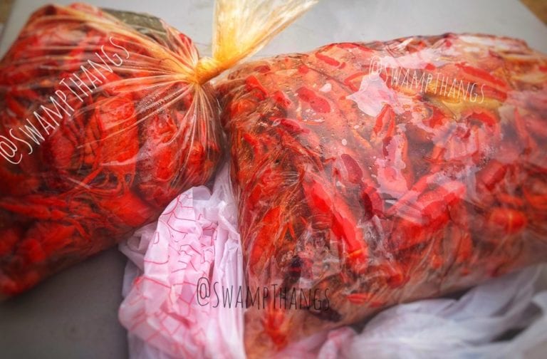 swampthangs houston 768x504