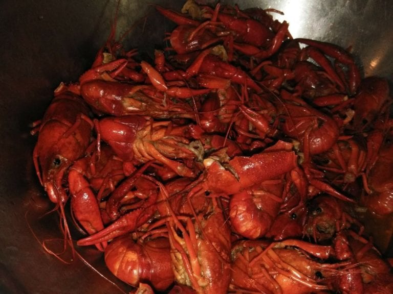 top shelf cajun missouri city 768x576