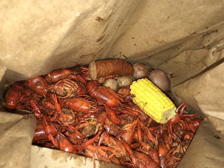 zydeclaws humble 2 768x576