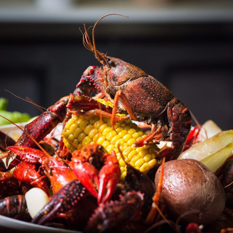 beauxjax shreveport 2 768x768