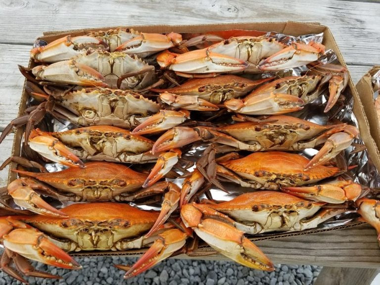 camardelles seafood grand isle 768x576