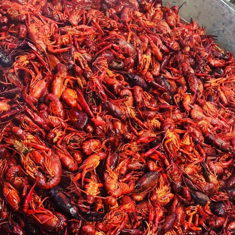 charlie boys louisiana kitchen lafayette la 1 768x768