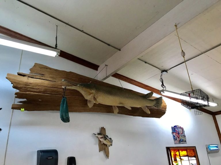 chez francois seafood lafayette 1 768x576