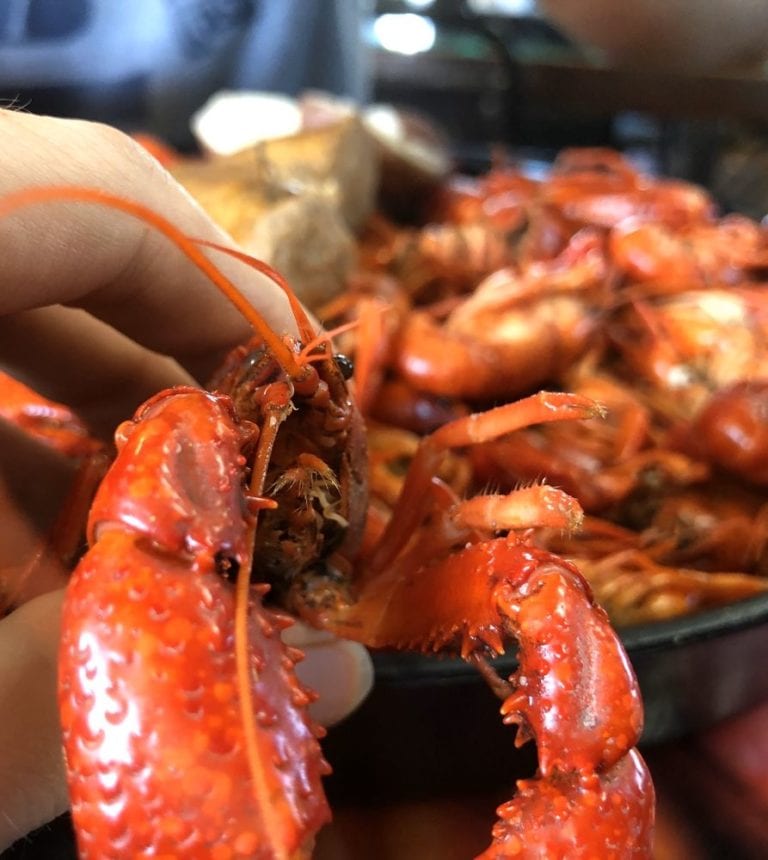 crazy bout crawfish breaux bridge 768x860