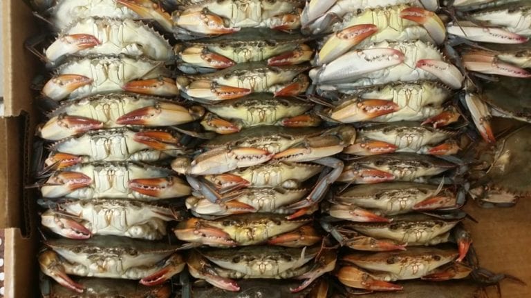 jts seafood lake charles 768x432