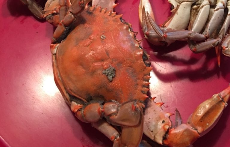 la boilers baton rouge 768x490