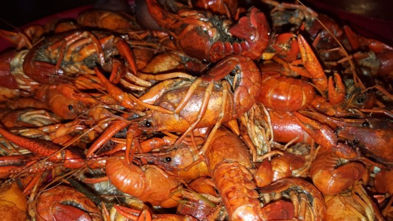 seafood corner gonzales 2 768x432