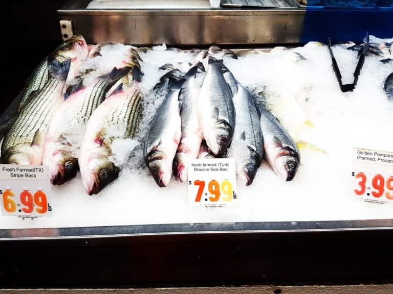 sun fat seafood company san francisco 1 768x576