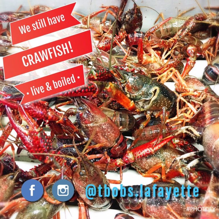 t bobs seafood lafayette 2 768x768