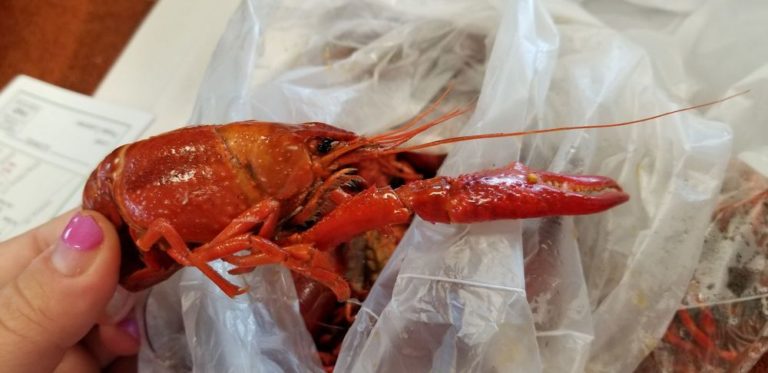 westwego seafood marrero 2 768x373