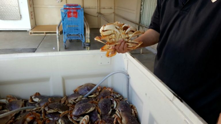 vien dong supermarket 4 san diego 1 768x432